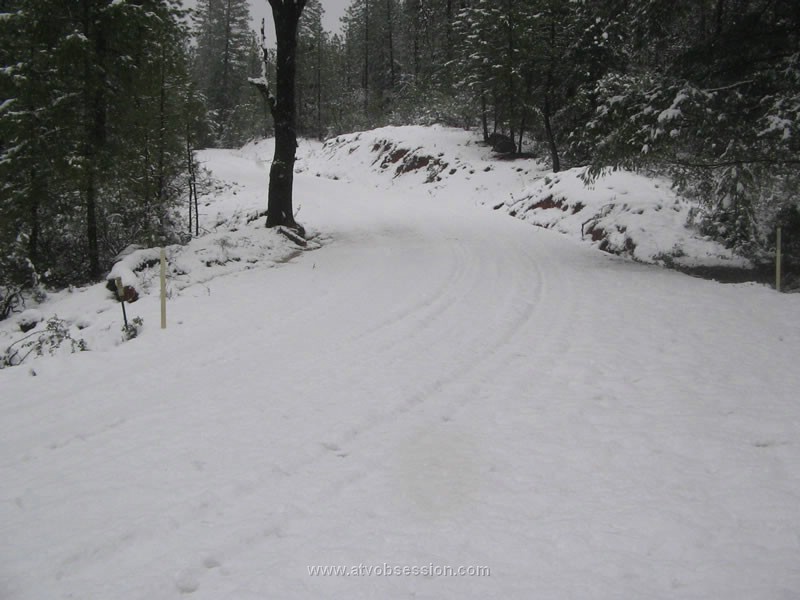 26. It's Stacey's Flying Curve..jpg