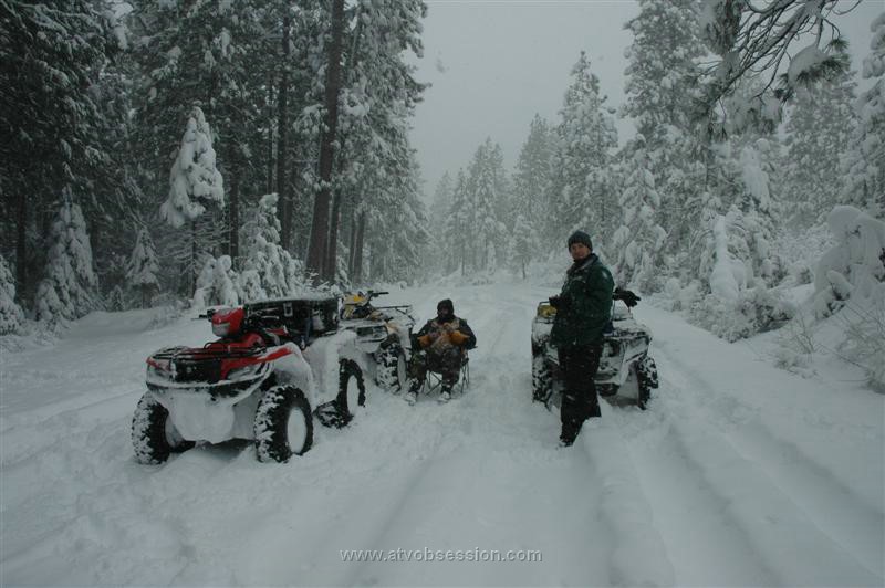 39. In the middle of the road..jpg