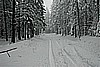 30. Backbone Road is 2 feet deep in snow..jpg