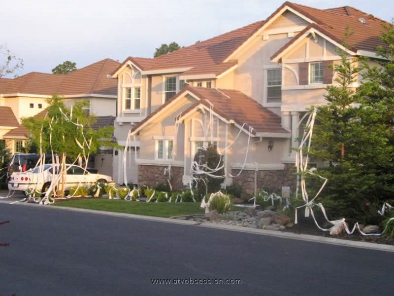 01. My neighbor got Tee-Pee'd...LOL..jpg
