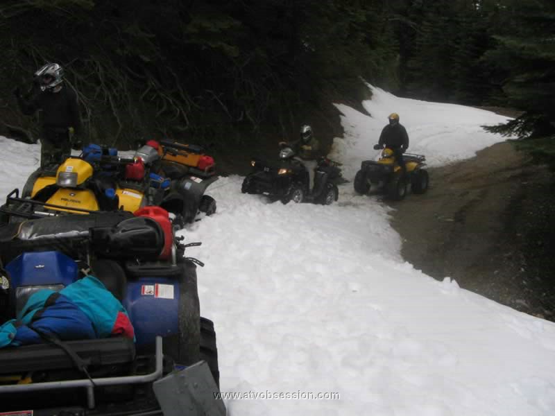 23. And caterpillar up..jpg