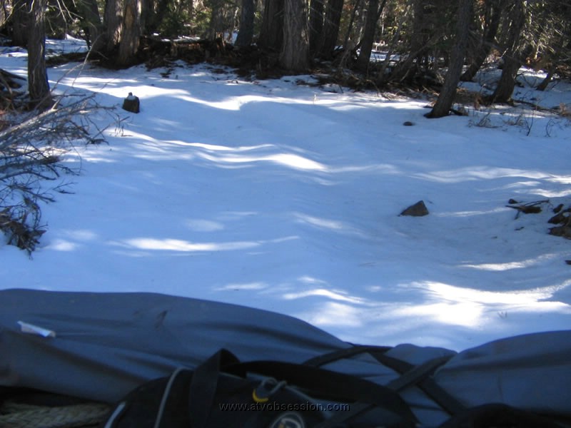 019. Virgin snow..jpg