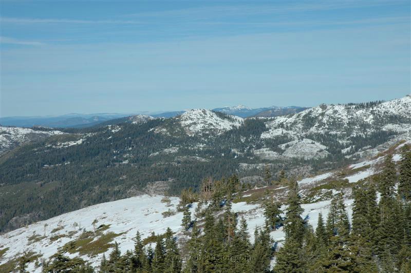 037. But it's amazingly sparce for December..jpg