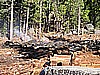 005. The big pile of logs was burned..jpg