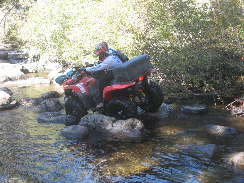 078. DEFINITELY.....no...but he'll get it..jpg