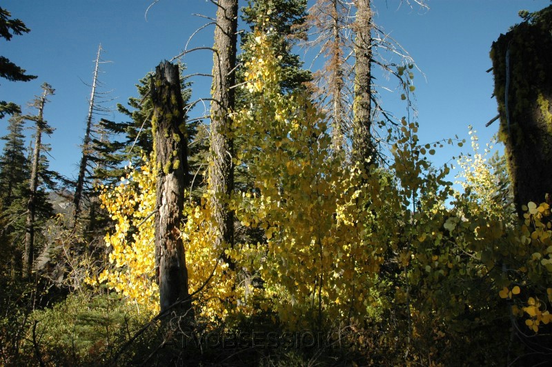 135. Fall is beautiful..jpg