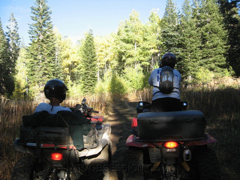 148. Why of course he has to shoot the trees..jpg