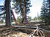 22.  Cell Tower. The forest dept is installing for safety reasons for the Rubicon Trail..jpg