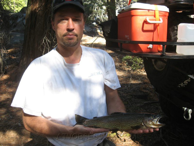 31. We run into these guys...nice fish...about 16 inches..jpg