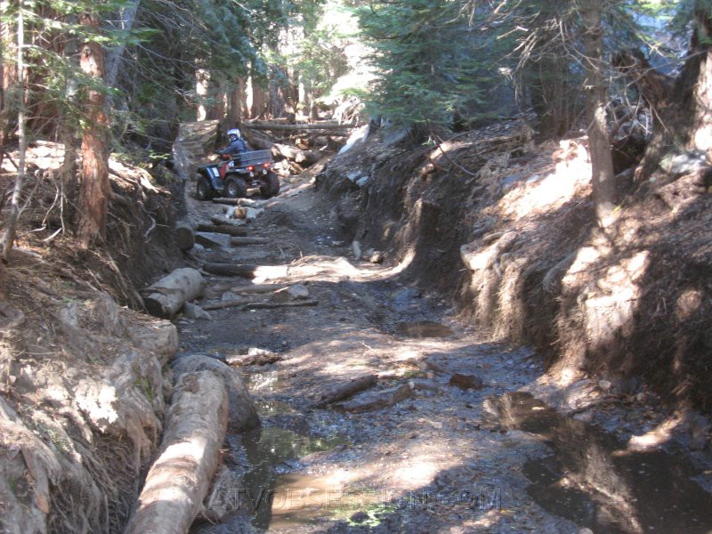 33. Which way do I go..jpg