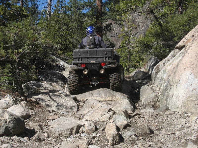 37. He's back in the right direction..jpg