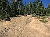 57. We found tons of steep logging roads...Hold on!.jpg