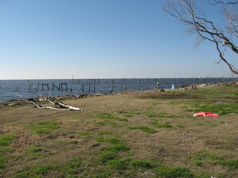 79. Almost every dock is obliterated..jpg