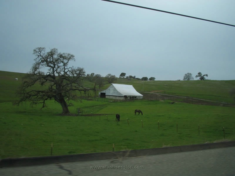 38. Everything is green this time of year..jpg