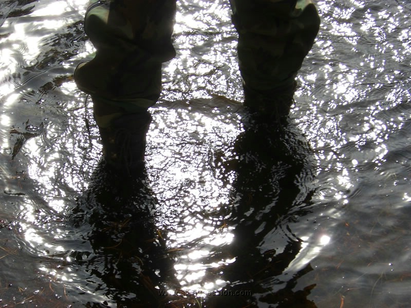 041. Watertight boots rule..jpg
