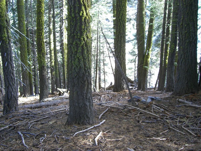 101. The lake is right there..jpg