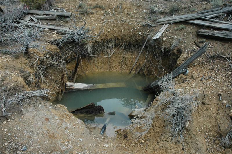 086. And Tasty Domestic Water Supply..jpg