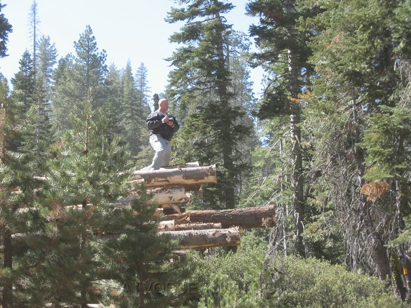 068. I come around the corner to see Larry with his perch..jpg