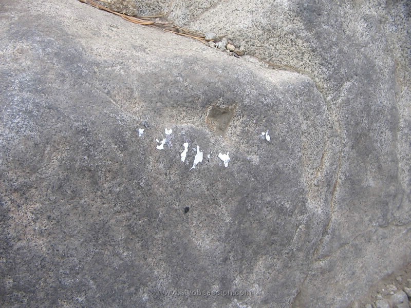 084. And leaves some helmet paint behind....he was ok thanks to his helmet..jpg