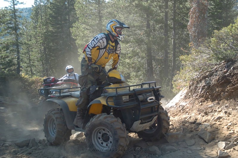 191. And stands up to see better..jpg