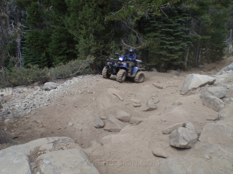 046. Jack scopes it out..jpg