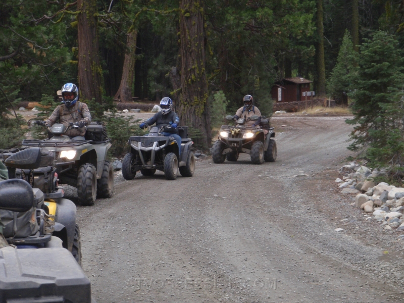 101. Miss Daisy..jpg