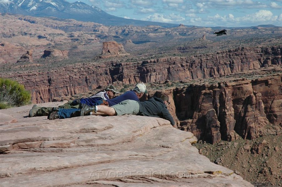 195. Jack, Steve, Dusty and a bird..jpg