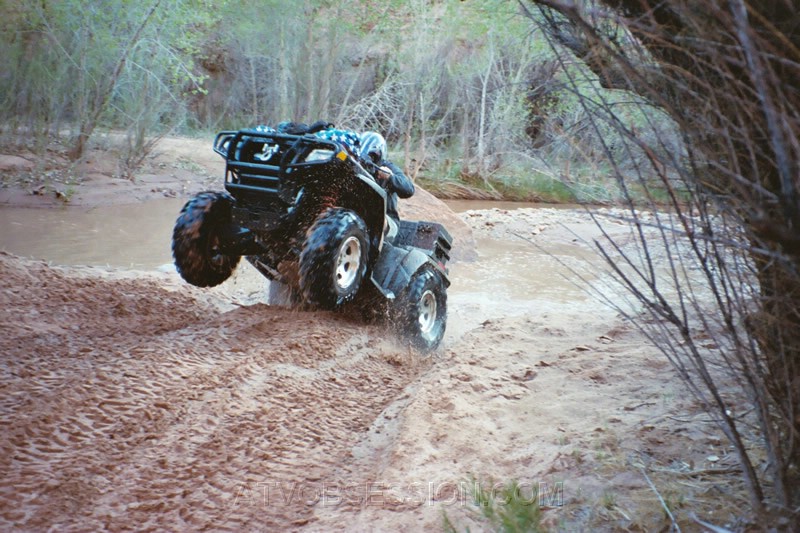 255. Dusty blasts up the bank..jpg