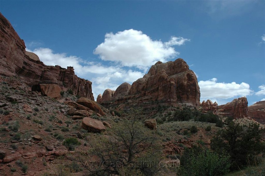 043. Ansel shot...jpg