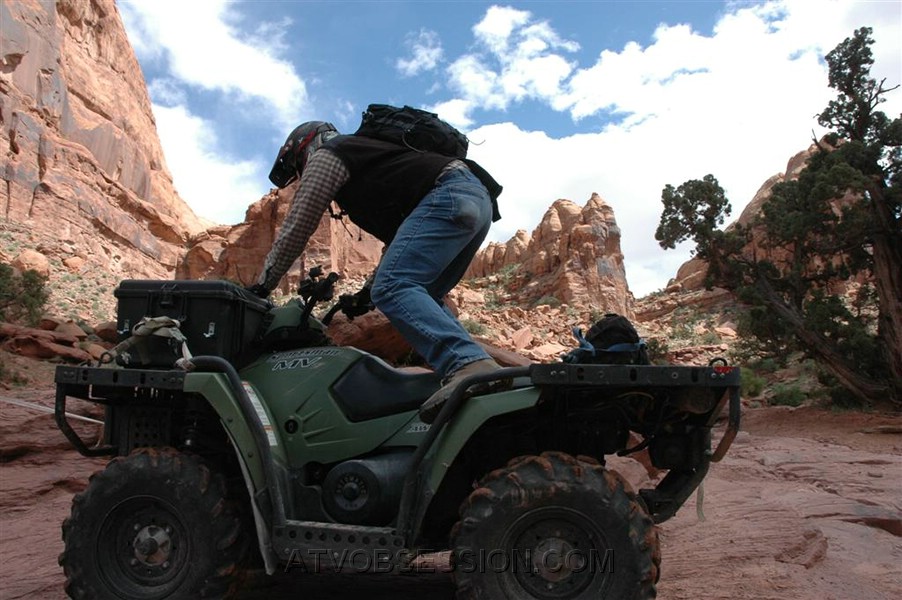 054. Graceful too..jpg