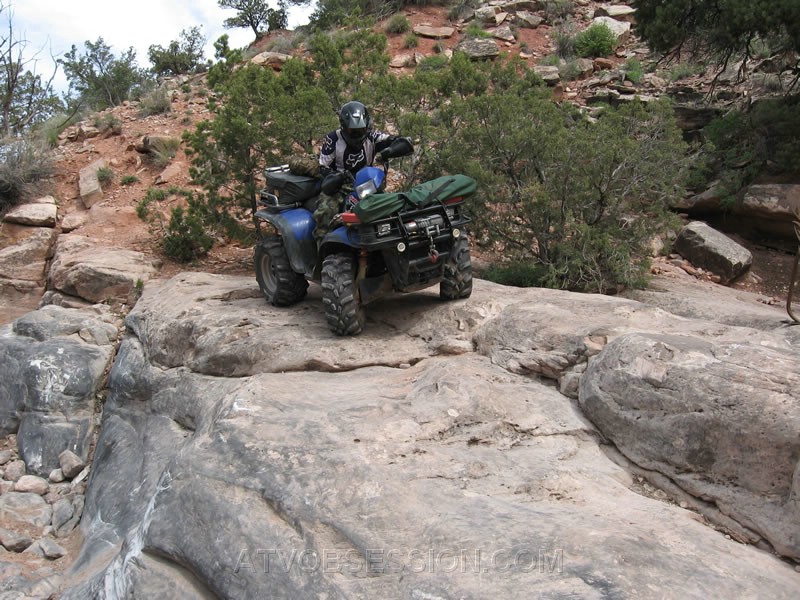 031. He backs up, to avoid a scary U turn..jpg