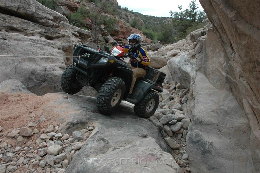 052. And he does...and goes right up..jpg