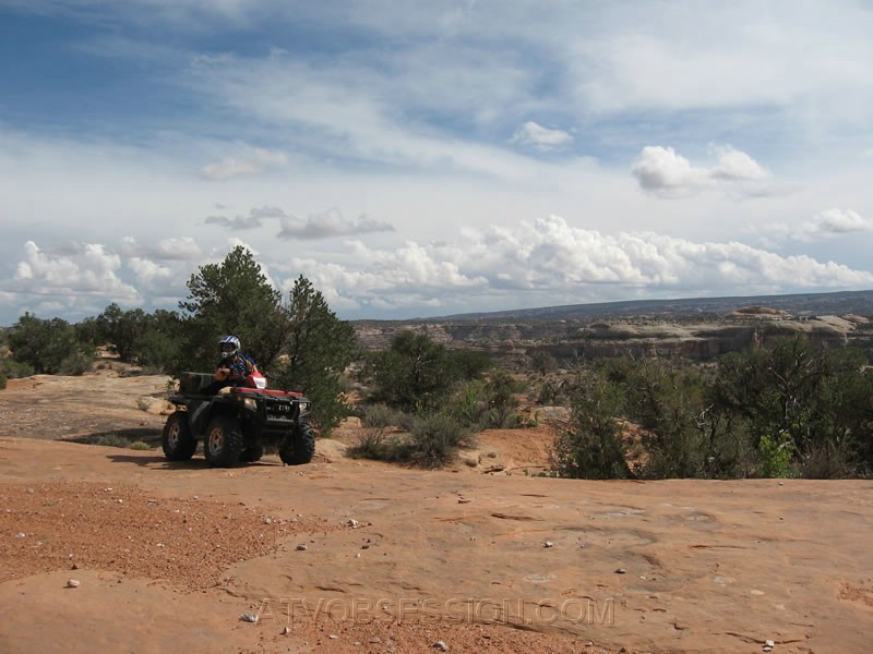 036. Dusty taking a break..jpg