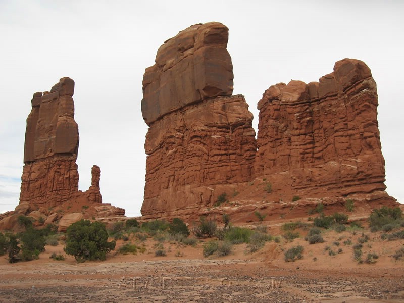 092. On the backside..we saw our only other quads..jpg