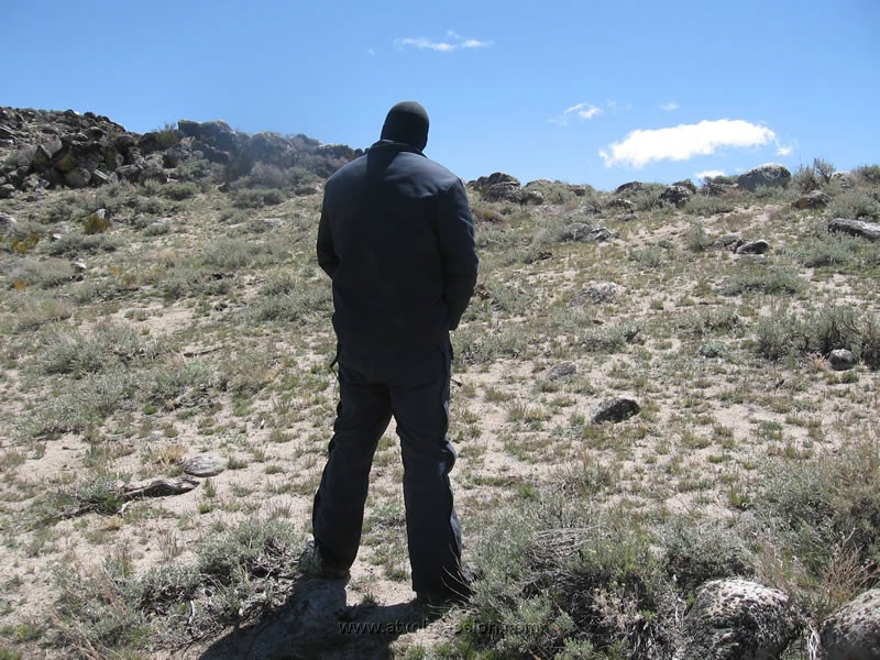 016. And Keith does what Keith does every few minutes...You'd think he was 9 months along..jpg