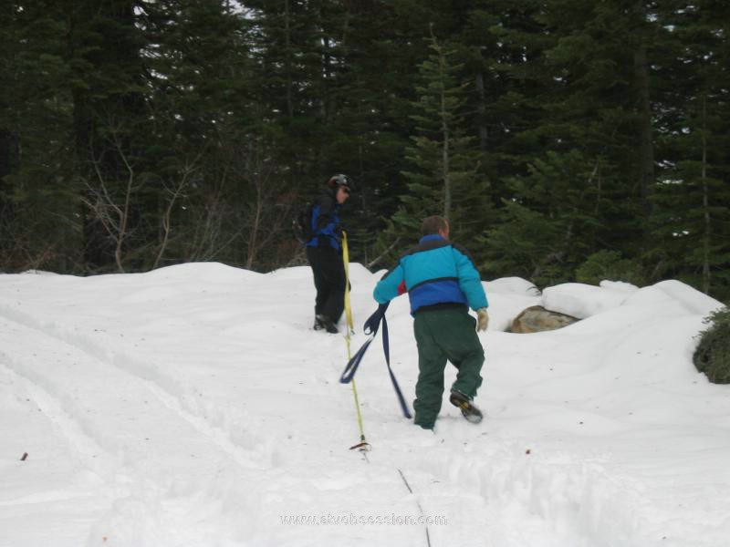031.Jack and Terry look for another tree.jpg