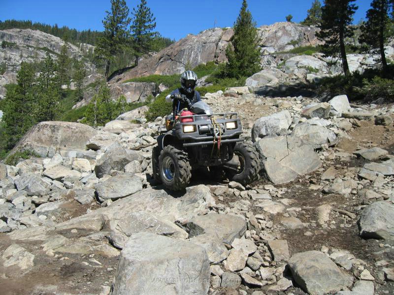 085. Working his way down..jpg