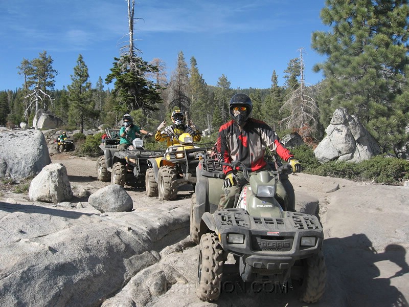 67. The Wilson Family...jpg