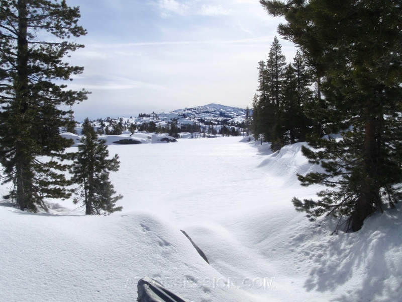 37. Spider Lake..jpg