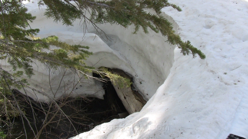 37. The bridge built FOTR weekend 2007..jpg