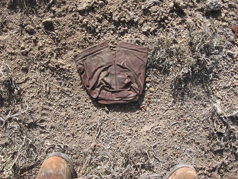 044. Is that a can or upside down pants....jpg