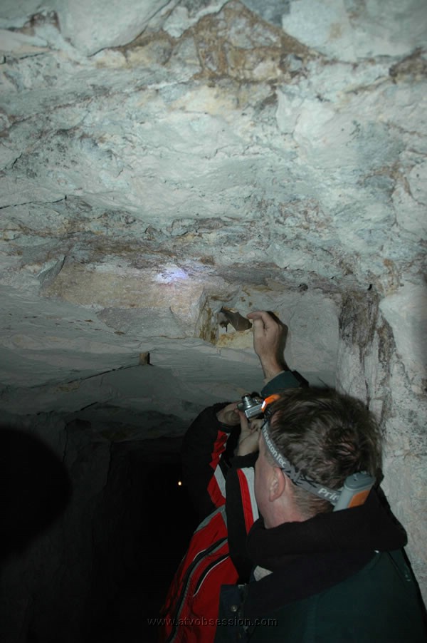 092. Brad wakes up a hybernating bat, while Ken takes a photo..jpg