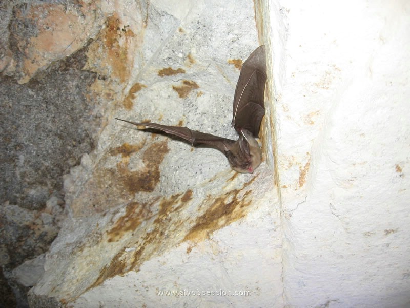 093. He's waking up..jpg