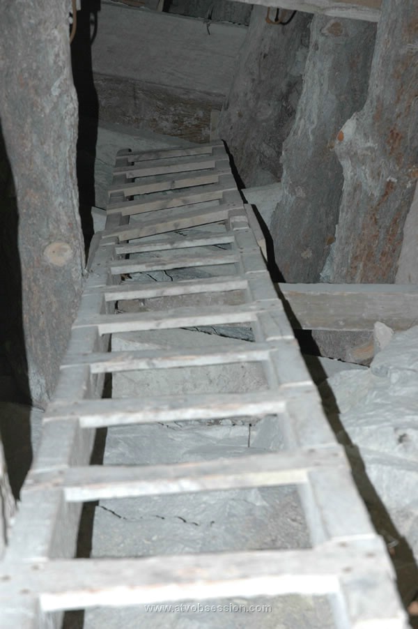 102. Anyone wanna climb down...jpg