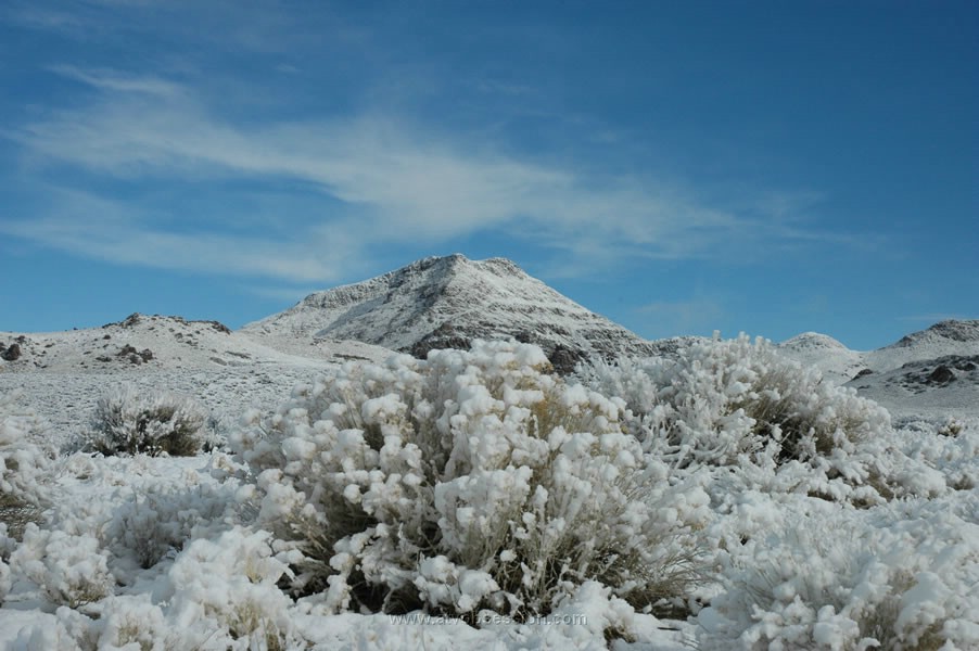 229. But dang it looks cold..jpg