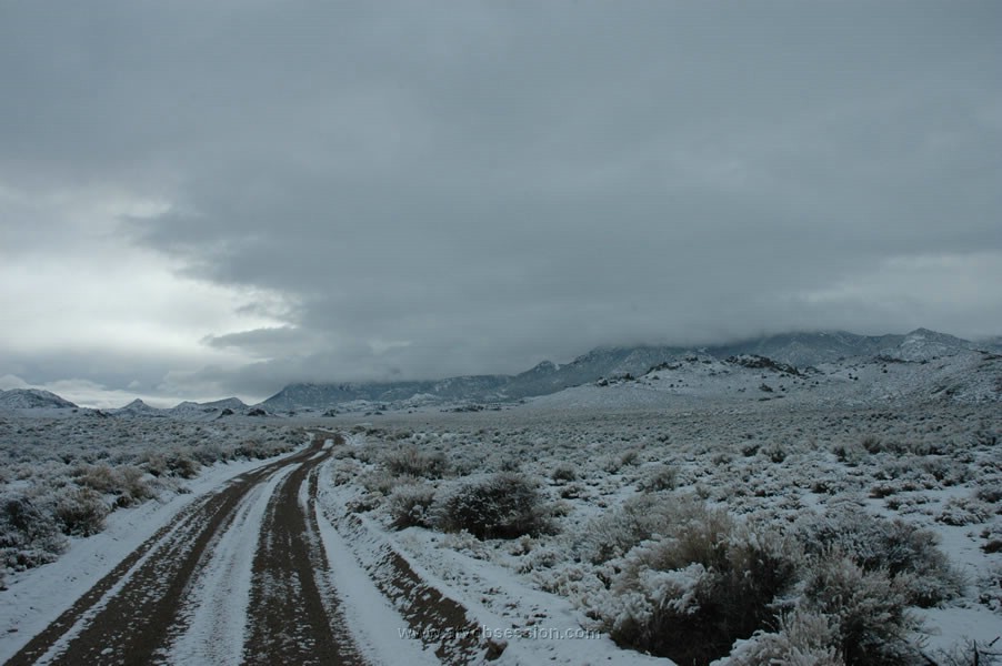 232. I'm cold just typing this..jpg