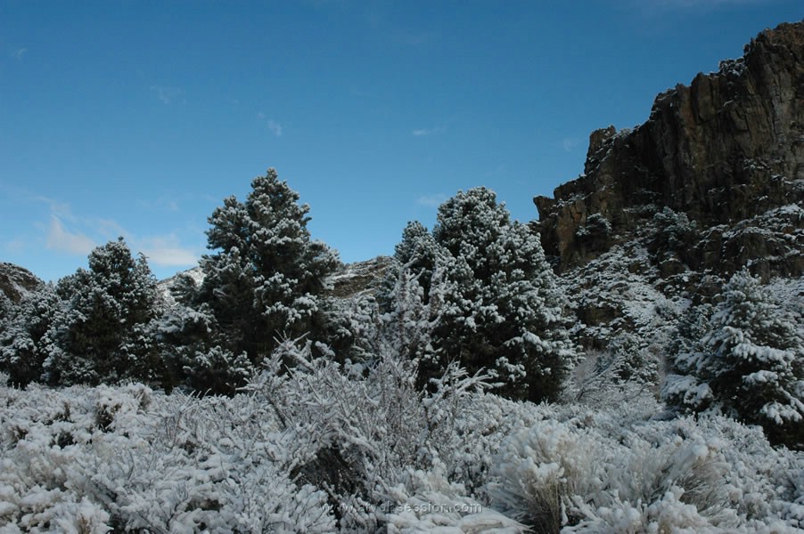 237. I got nothin' left..jpg