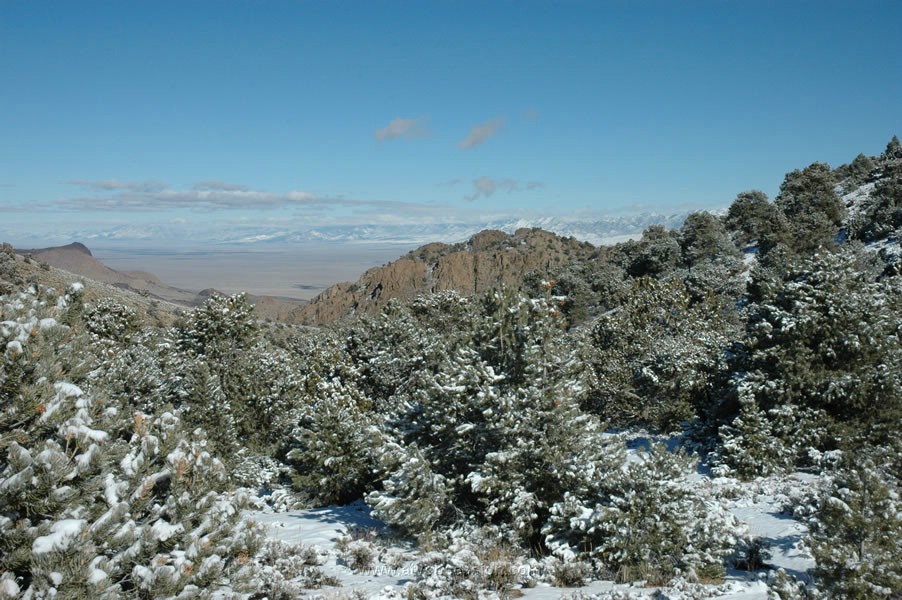 264. More scenery..jpg