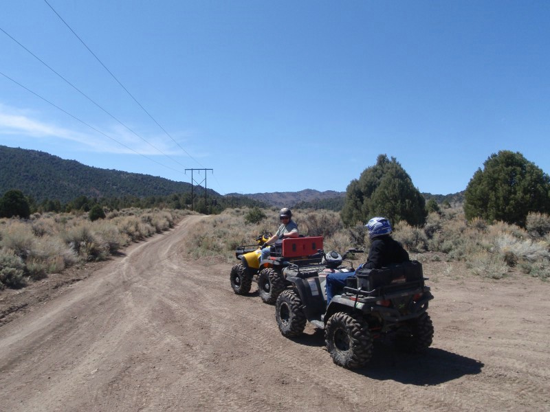 37. Picking a direction..jpg