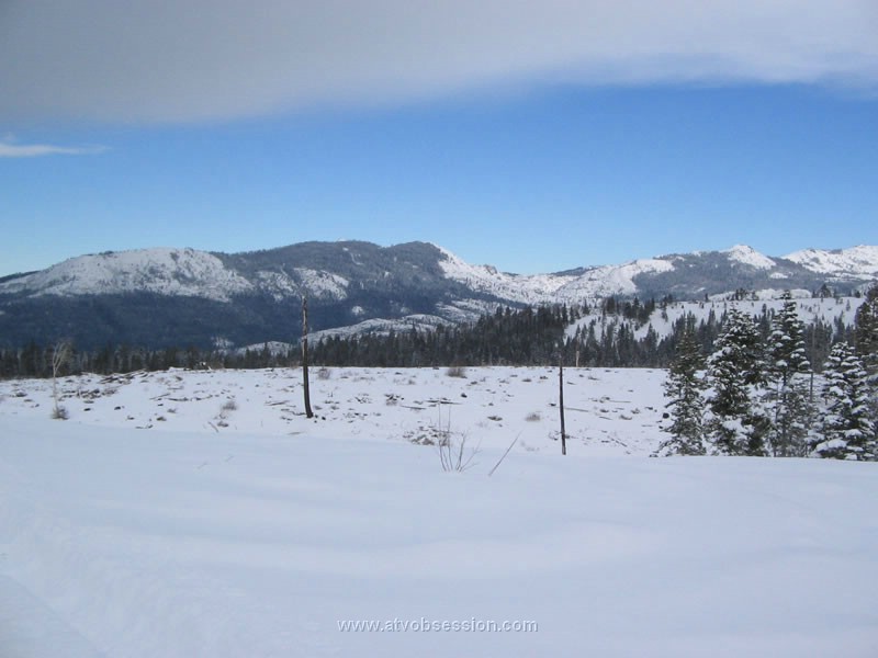 029. Trees are still messed up from the fire..jpg